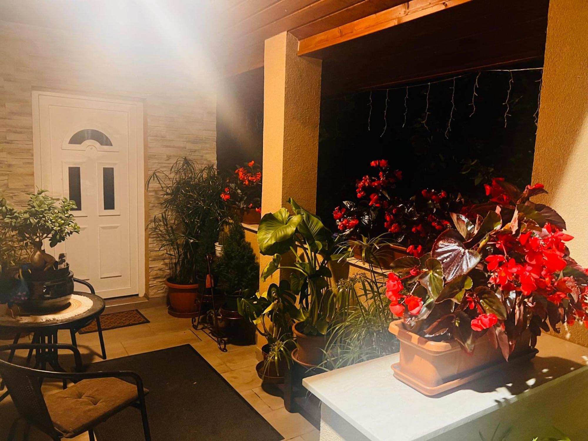 Arany Vendeghaz Villa Szarvas Exterior photo